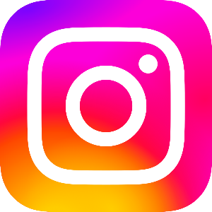 Insta Logo